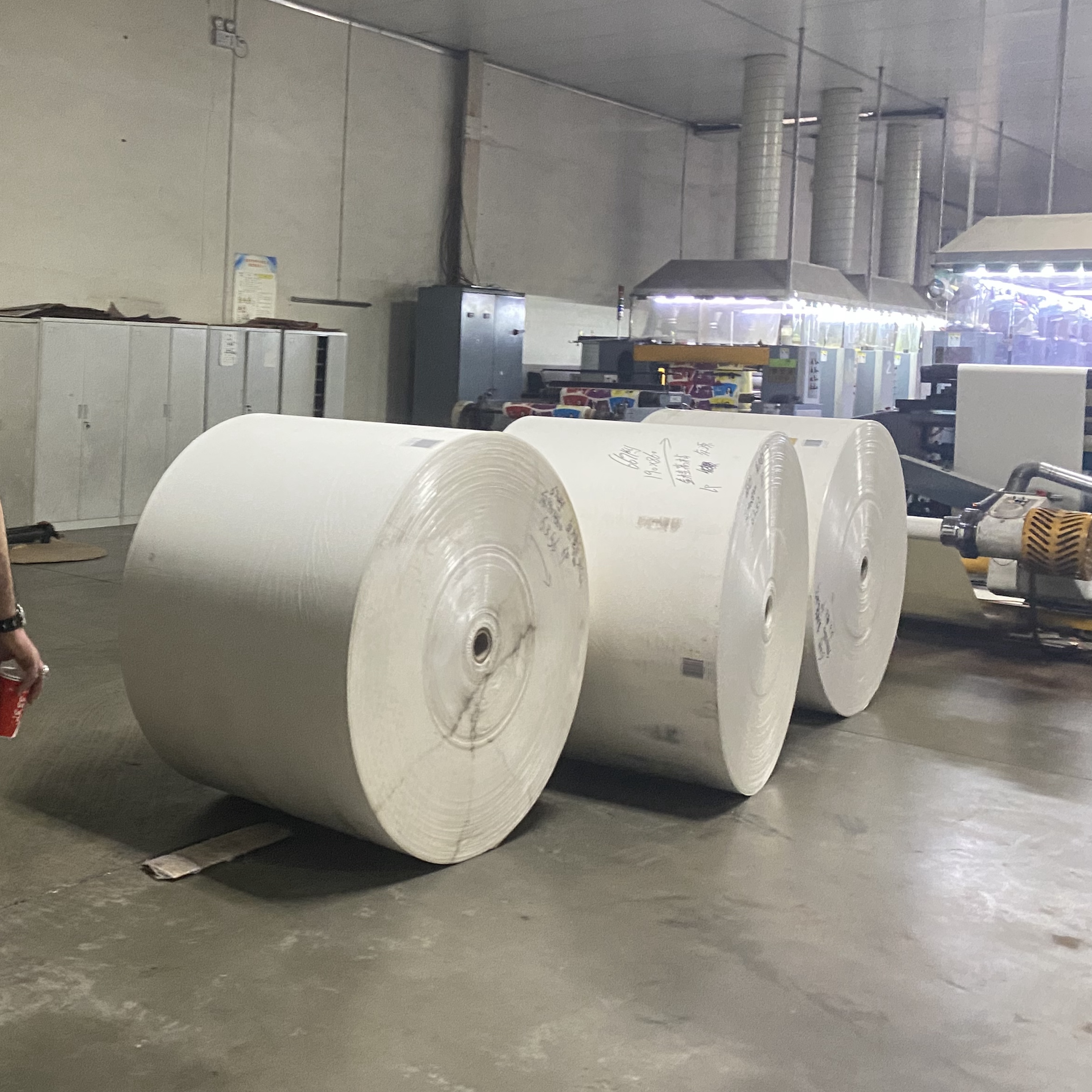 Cup coated paper roll