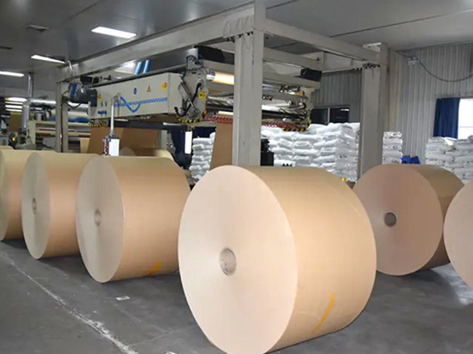 Cow Card Coated Paper