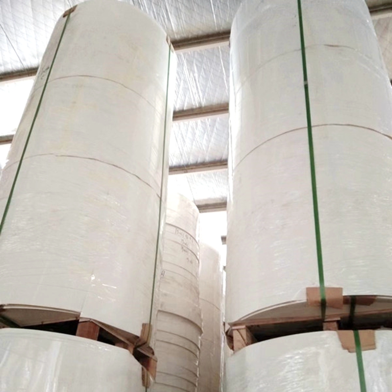 Thick coated biodegradable paper cup raw materials